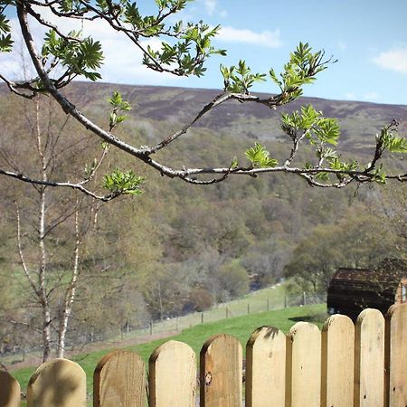 Howe Of Torbeg Ballater Exterior foto