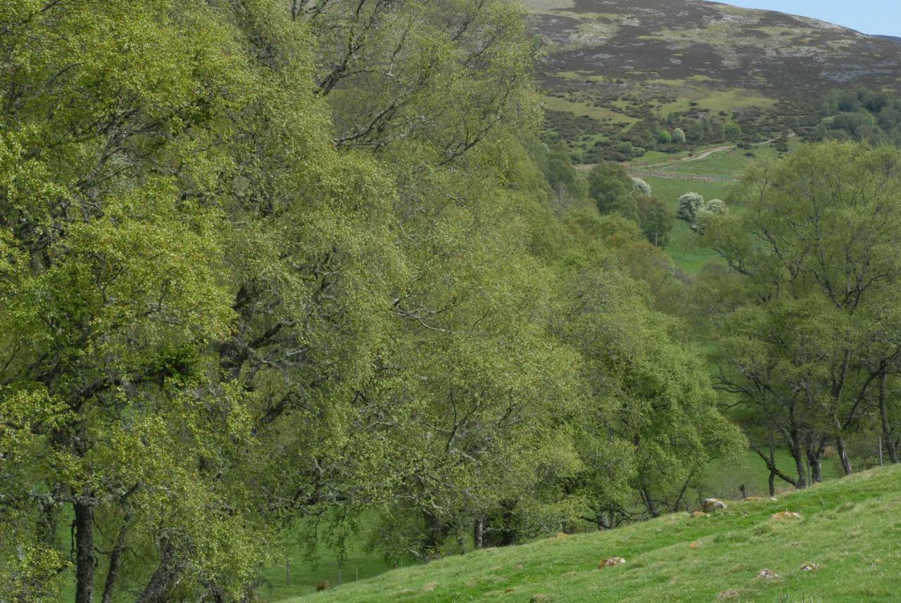 Howe Of Torbeg Ballater Exterior foto